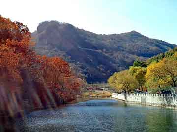 澳门天天免费精准大全，天涯医院